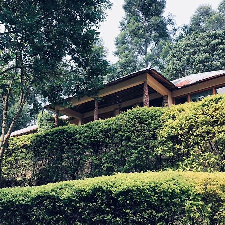 Bwindi Forest Lodge Buhoma Екстер'єр фото