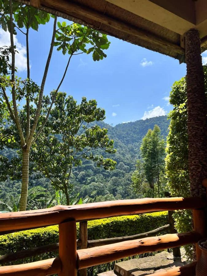 Bwindi Forest Lodge Buhoma Екстер'єр фото
