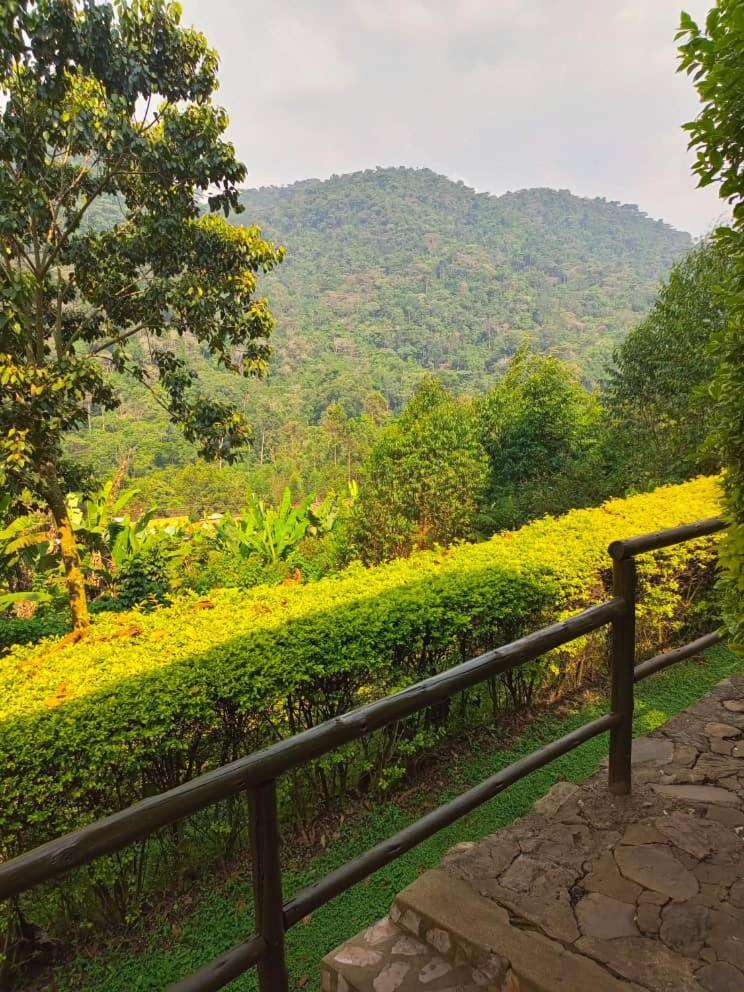 Bwindi Forest Lodge Buhoma Екстер'єр фото