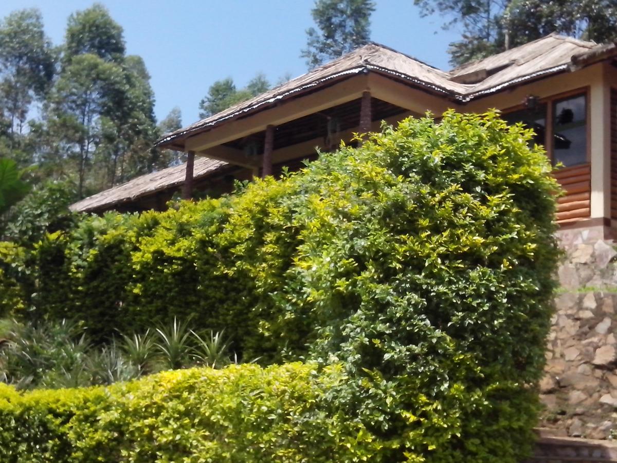Bwindi Forest Lodge Buhoma Екстер'єр фото